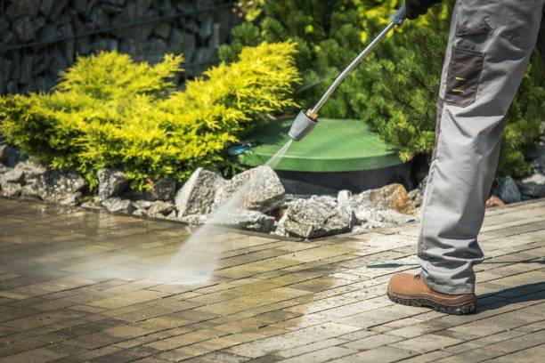 Best Solar Panel Cleaning  in Linden, CA